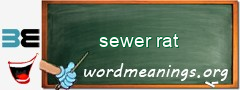 WordMeaning blackboard for sewer rat